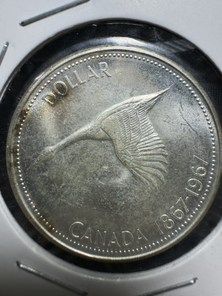 Inicio TodoPrecio.com 3 $1 Dollar Canadá Plata 1867-1967 Ganso Elizabeth ll