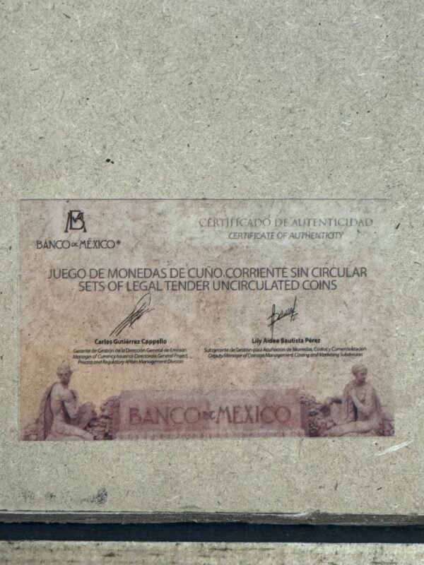 Cuadro Blanco Set Cono Monetario 1995 México N$ Nuevos Pesos - Image 6