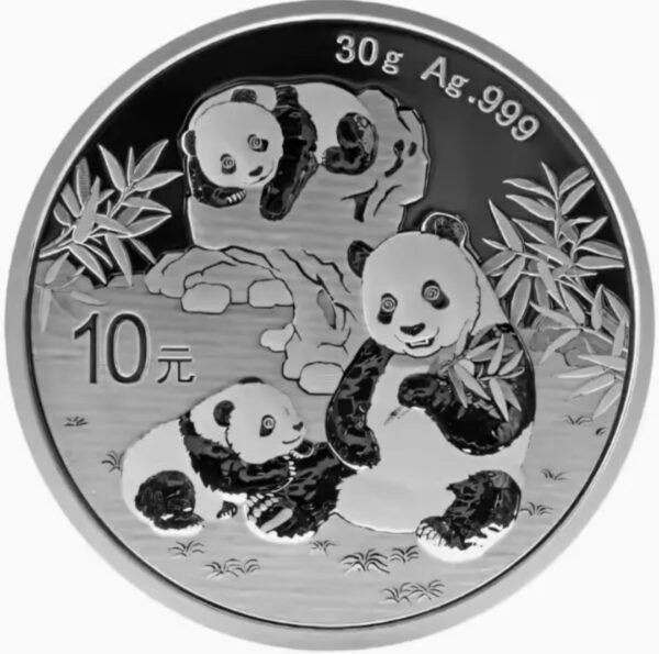 HCGS 2025 China 10YUAN Panda Silver Moneda 30g China Panda Plata Onza con Certificado