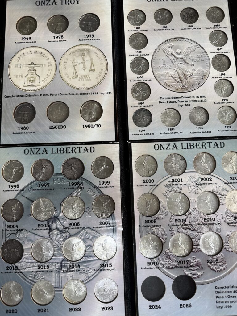 Inicio TodoPrecio.com 29 Álbum Completo Onza Libertad y Troy 1949-2024 Plata