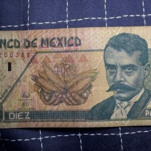 Billete $10 Nuevos Pesos 1994 Emiliano Zapata México