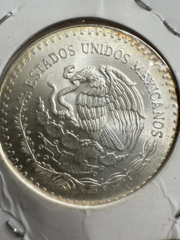Onza Libertad 1987 Gordita Plata Pura Fecha Clave - Image 3