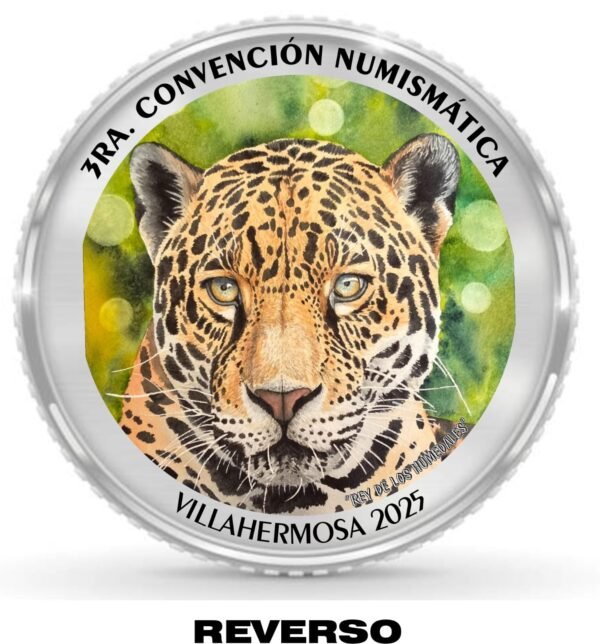 Medalla Conmemorativa 3ra Convención Numismatica de Tabasco Edición Limitada Plata .999 y Cobre .999 Año 2025 - Image 17