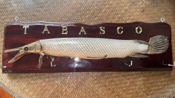 Recuerdo Souvenir Cuadro de Tabasco México Pejelagarto 45cm - Image 5