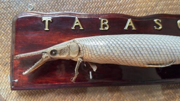 Recuerdo Souvenir Cuadro de Tabasco México Pejelagarto 45cm - Image 11