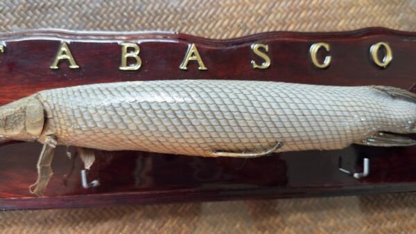 Recuerdo Souvenir Cuadro de Tabasco México Pejelagarto 45cm - Image 10