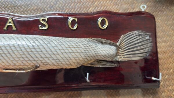Recuerdo Souvenir Cuadro de Tabasco México Pejelagarto 45cm - Image 9