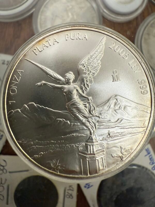 Onza Libertad Plata Pura .999 Año 2005