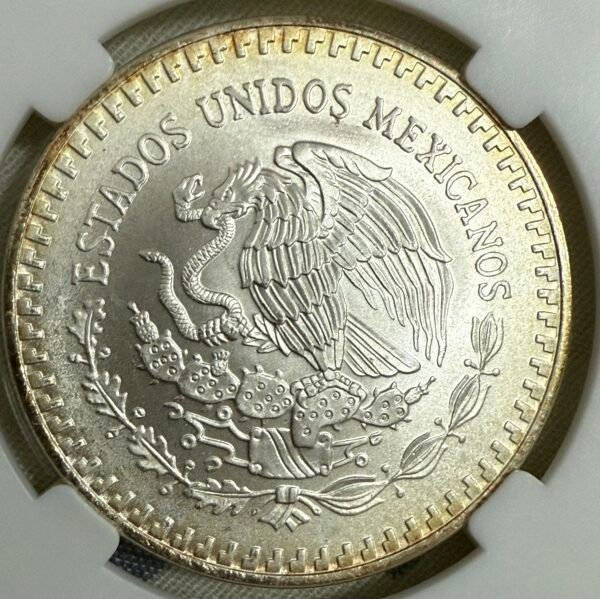 OnZa Libertad 1991 Tipo 2 Mula Plata .999 | RARA - Image 3