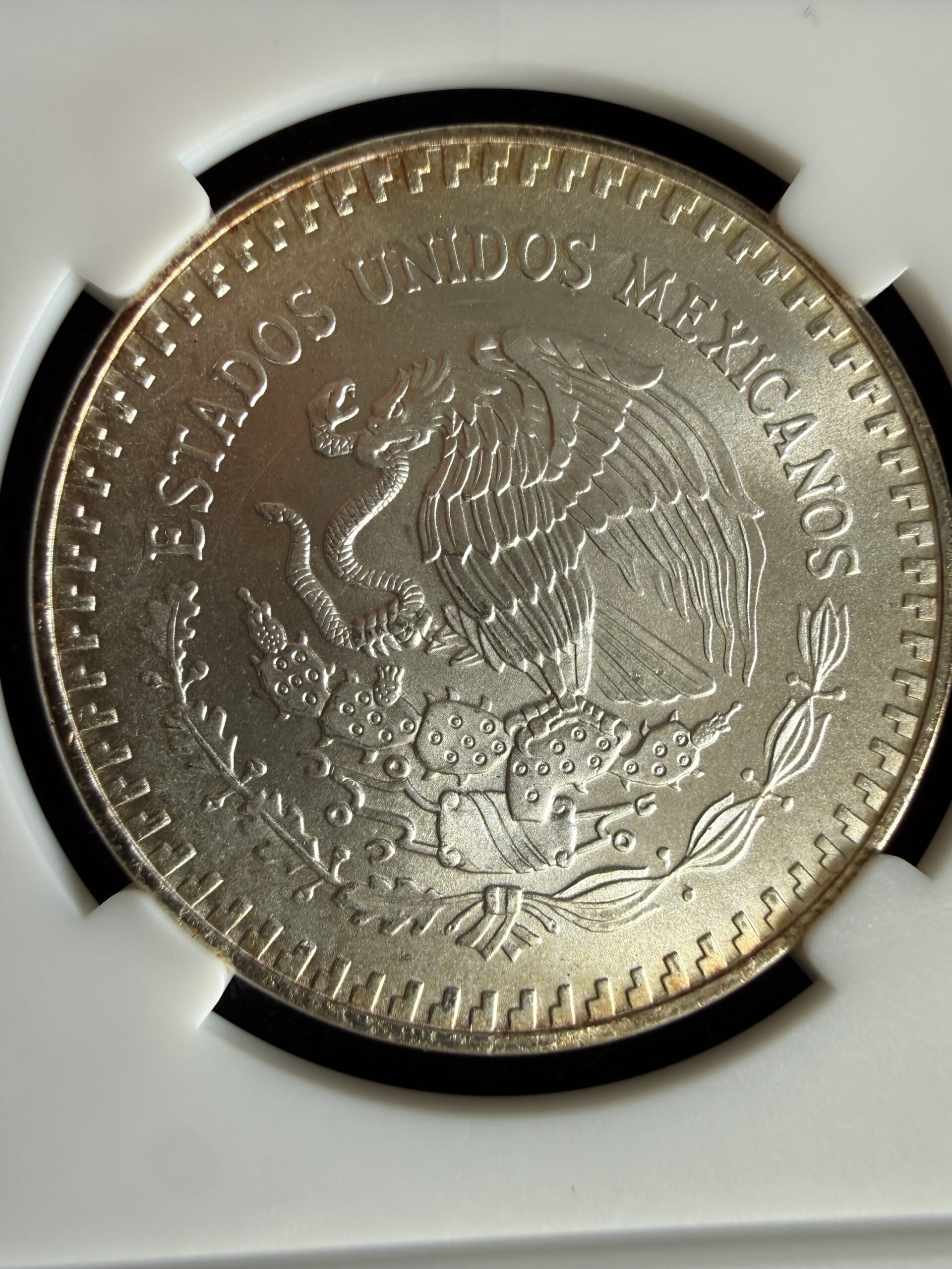 OnZa Libertad 1991 Tipo 2 Mula Plata .999 | RARA 3 img 9117