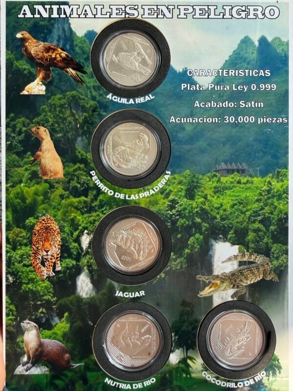 Colección Completa Animales en Peligro de extinción en México 2000-2001 - Image 4