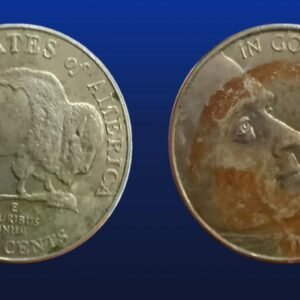 5 Centavos Dolar 2005 Búfalo Bicentenario | USA