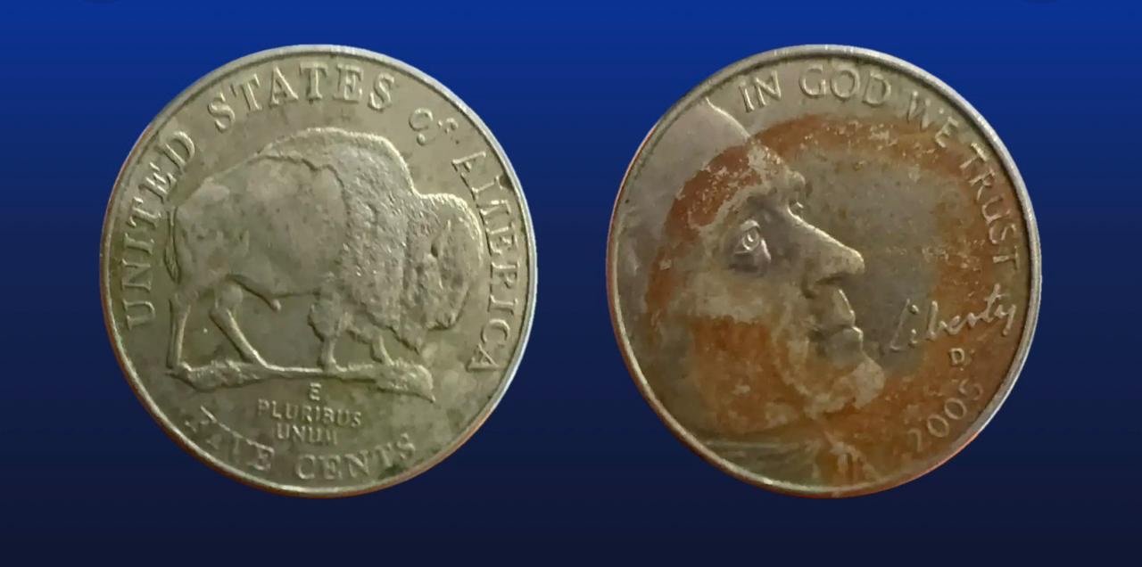 5 Centavos Dolar 2005 Búfalo Bicentenario | USA 1 5 Centavos Dolar 2005 Búfalo Bicentenario | USA