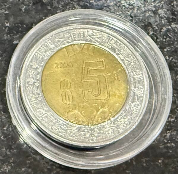 Cápsula protectora de moneda 30mm - Image 2