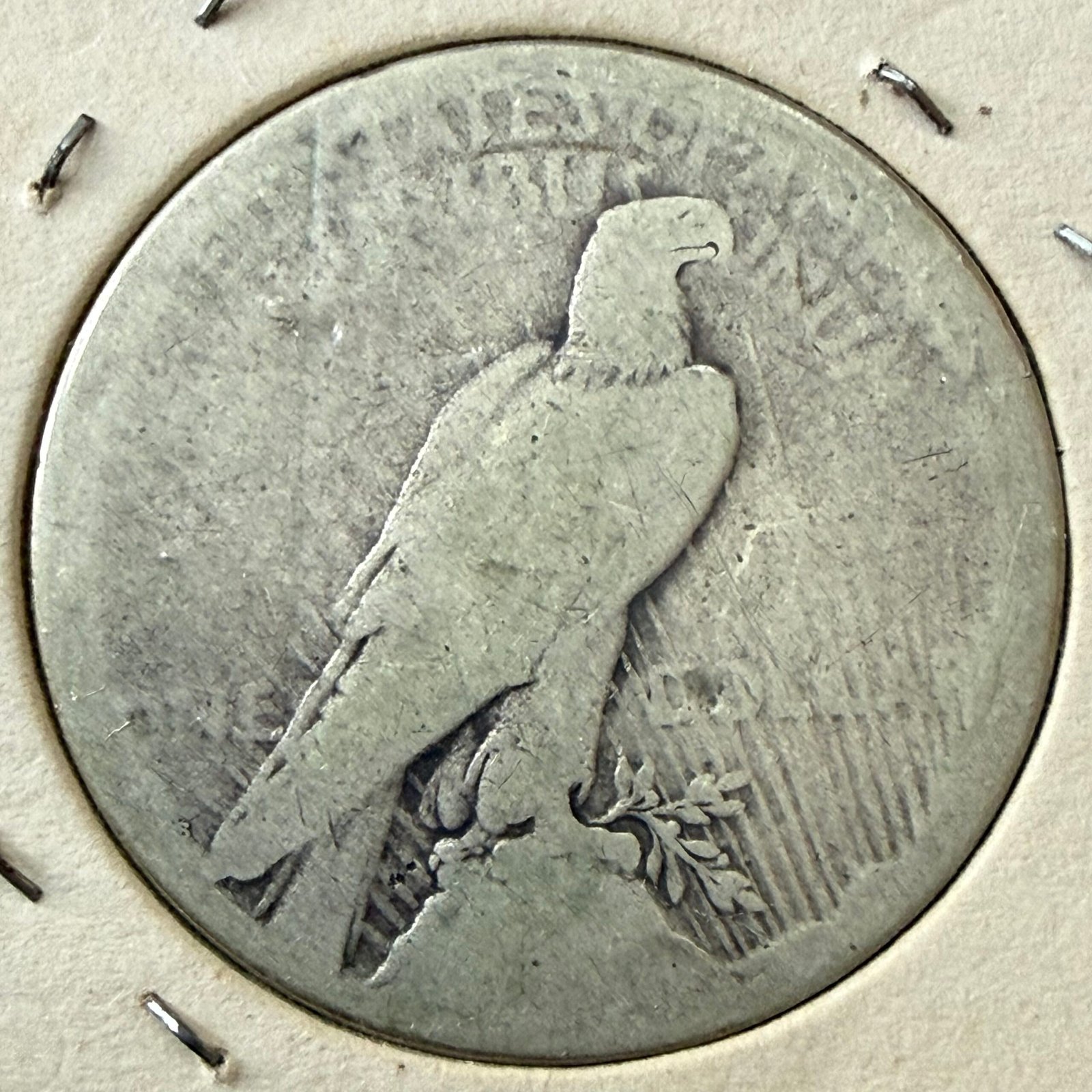 Dollar Peace 1924-S Plata 900 Escaso | USA 3 Dollar Peace 1924-S Plata 900 Escaso | USA - Image 3
