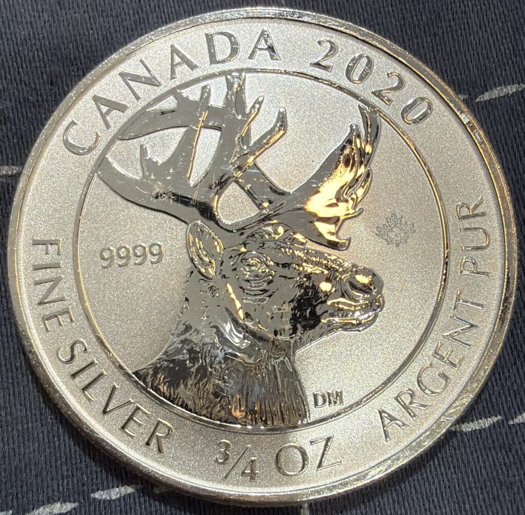 Inicio TodoPrecio.com 31 3/4 Onza Plata 9999 $2 Dólares 2020 | Canada