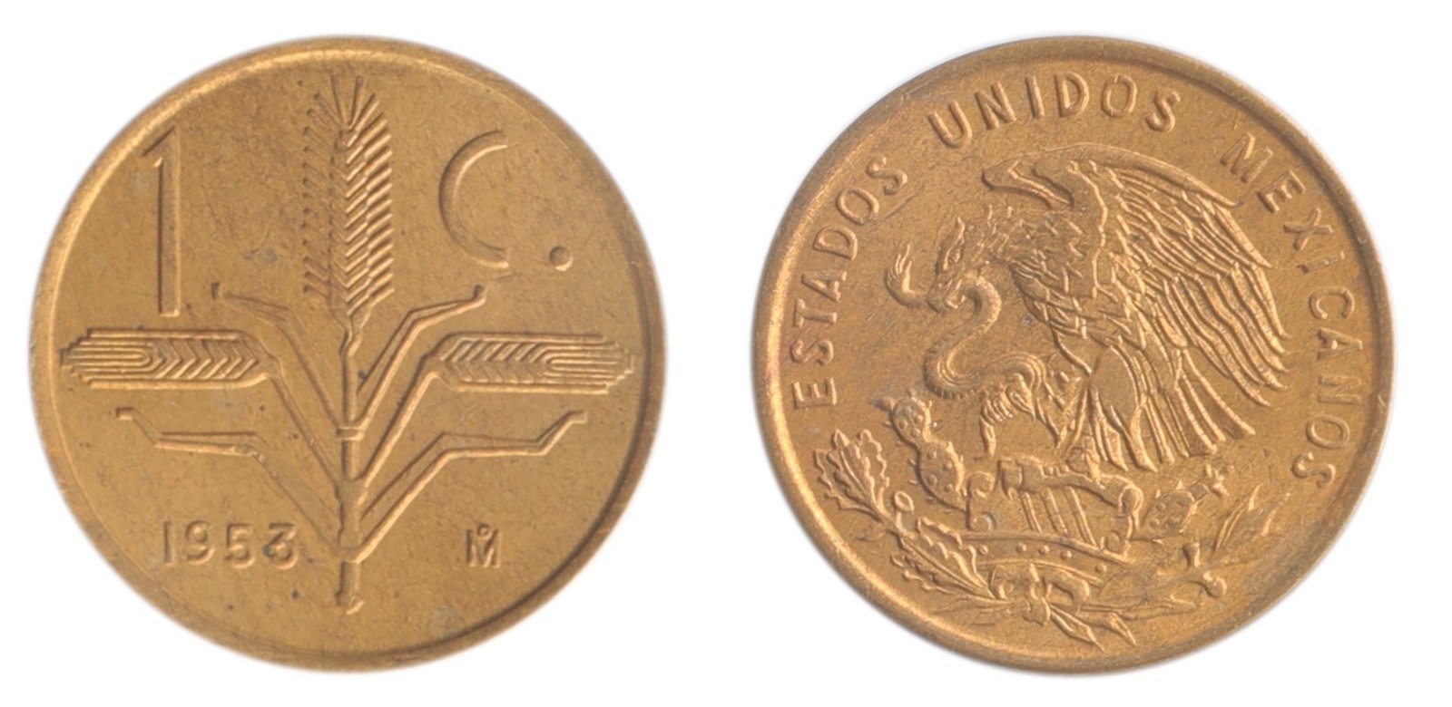 1 Centavo Espiga de Trigo 🌾 1950-1969 México Mo. 2 1 Centavo Espiga de Trigo 🌾 1950-1969 México Mo. - Image 2
