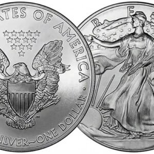 1 Oz Plata Fina Águila Americana | Moneda de Inversión USA