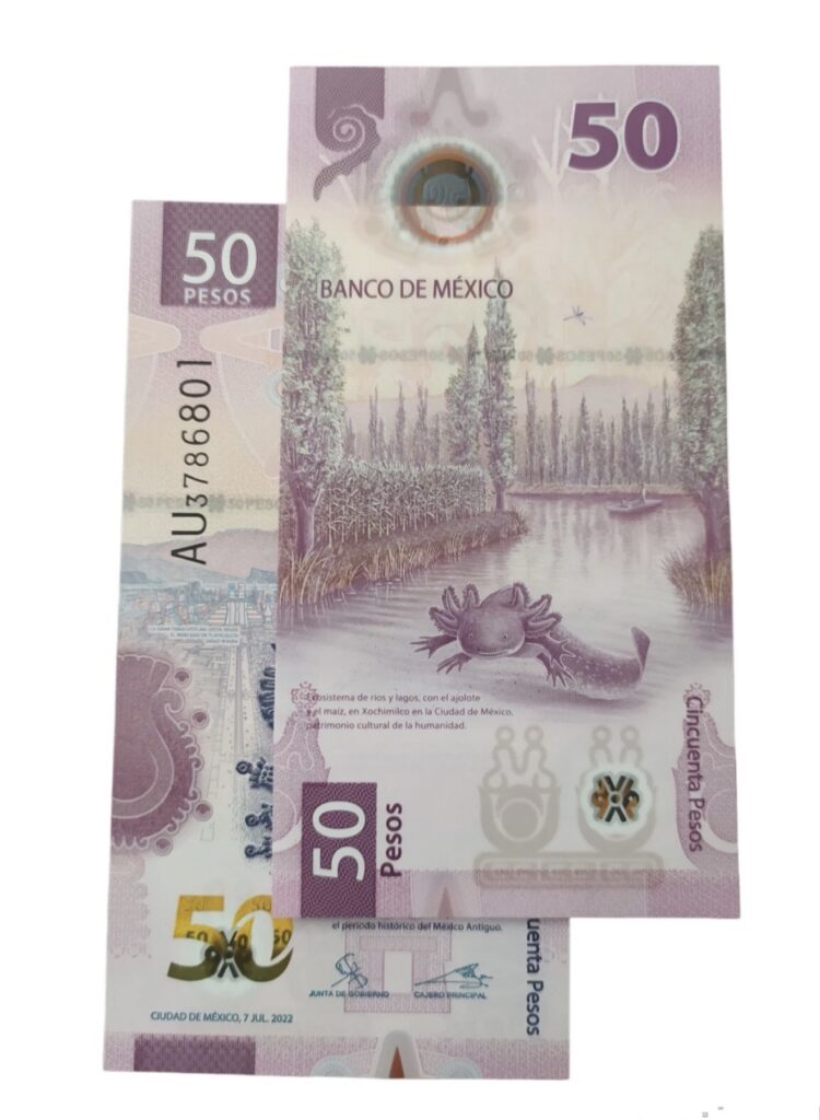 Inicio TodoPrecio.com 39 $50 Pesos Ajolote Polímero México UNC | Premio Billete del Año 2021