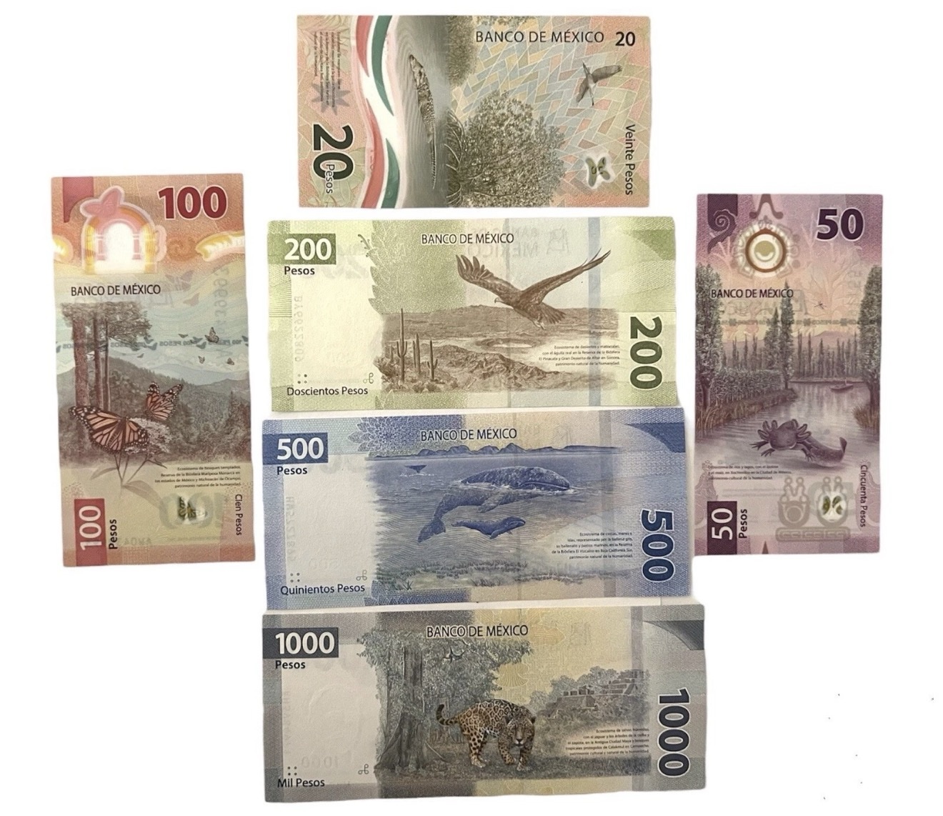 Set Billetes Mexicanos $20 $50 $100 $200 $500 $1000 Nuevos UNC Familia G | Mo. México 2 Set Billetes Mexicanos $20 $50 $100 $200 $500 $1000 Nuevos UNC Familia G | Mo. México - Image 2