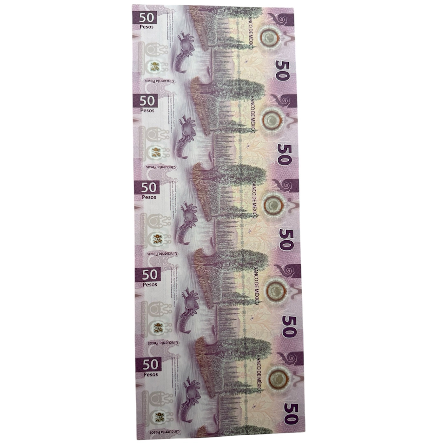 Tira Billetes $50 Axolote 2021 México Sin Cortar Oficial Auténtico 2 photoroom 20260417 125107