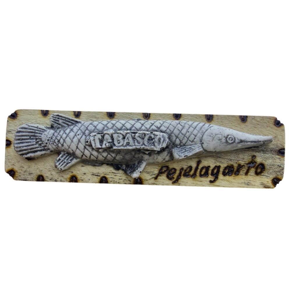🧲 Imán souvenir Tabasco pejelagarto recuerdo decorativo