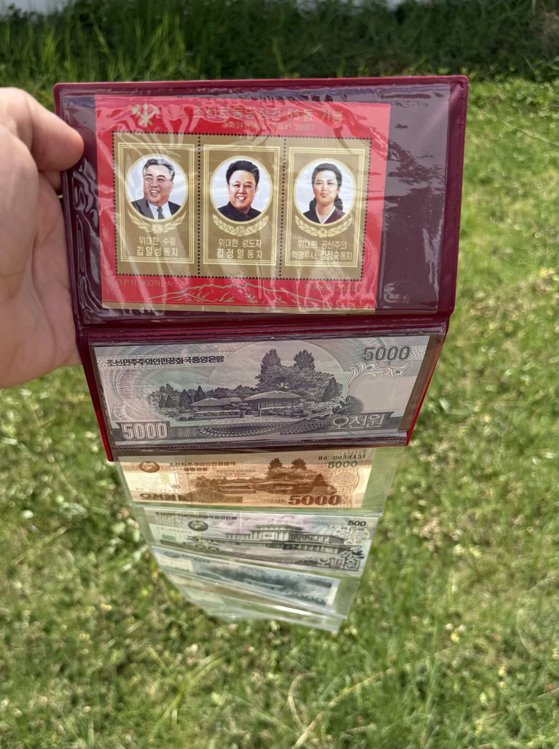 Set Billetes y Monedas Corea del Norte 9 Billetes 4 Monedas Sin Circular 9 Set Billetes y Monedas Corea del Norte 9 Billetes 4 Monedas Sin Circular - Imagen 9
