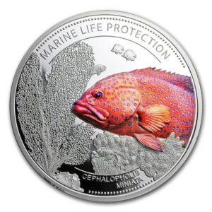 $5 Plata 999 Palau 2016 “Coral Hind” - Protección de Vida Marina UNC | Edición Limitada 1500 piezas